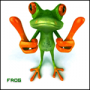 frog163
